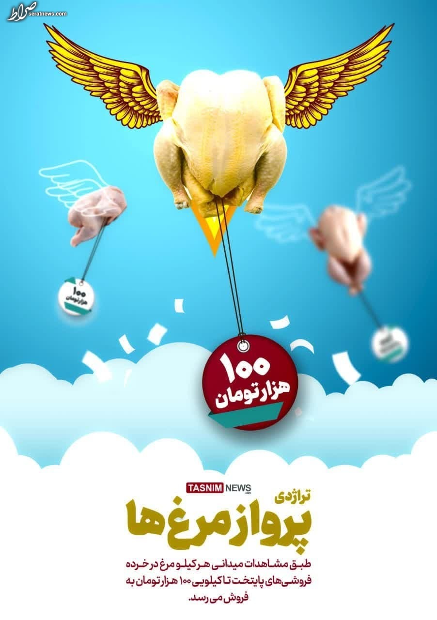 عکس/ پرواز مرغ‌ها
