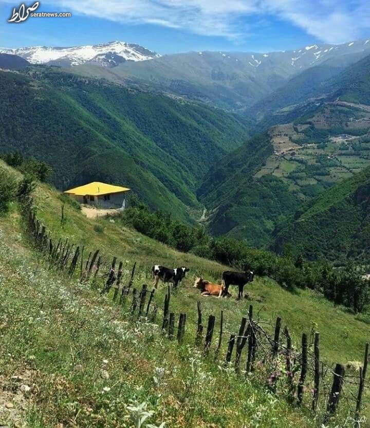 عکس / نمایی زیبا از روستای ایزکی شهرستان رامسر