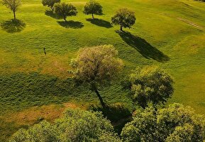 تصاویر / طبیعت بهاری منطقه دره اناران سپیدشت خرم آباد