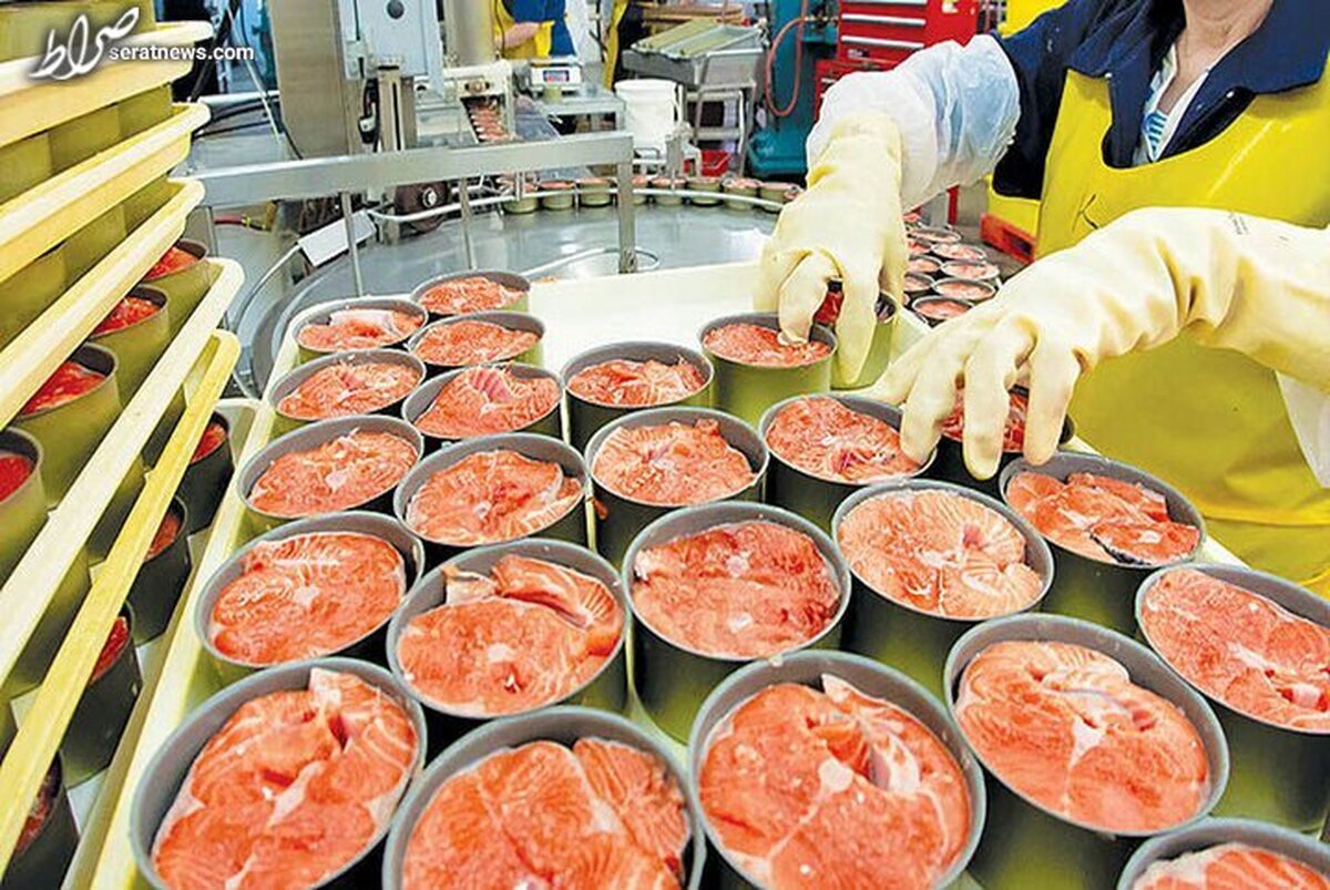 افزایش قیمت کنسرو ماهی