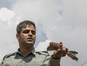 تصاویر / آزادسازی پرندگان در پارک ملی لار