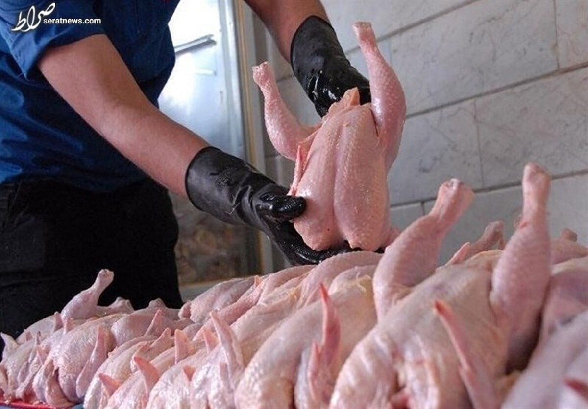 هشدار وزارت کشاورزی به مرغداران: اگر مرغ با قیمت مصوب توزیع نشو‌د قطعاً وارد می‌کنیم
