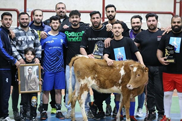 فیلم/ گوساله جایزه قهرمان مسابقات فوتسال بابل!