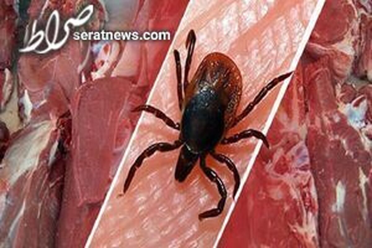 ابلاغ دستورالعمل کنترل بیماری تب کنگو