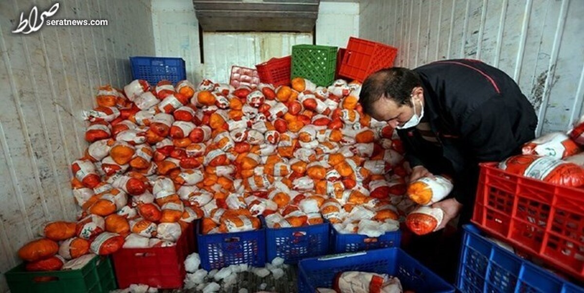 کشف بیش از ۱.۵ تن مرغ منجمد قاچاق در لارستان