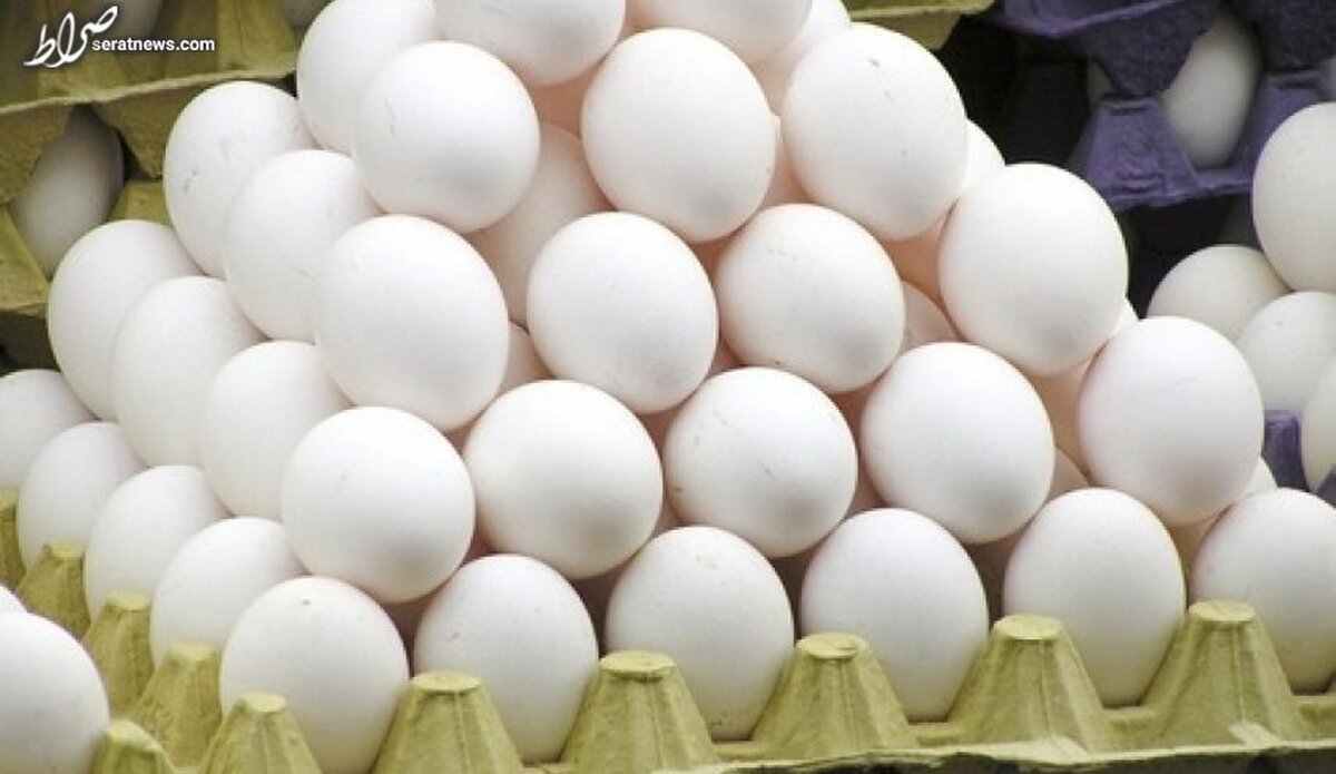 مرغداران خواستار اصلاح قیمت مصوب تخم مرغ هستند