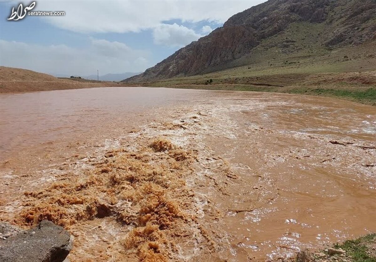 سیلاب در روستاهای زرندیه/ خسارات به دام روستاییان