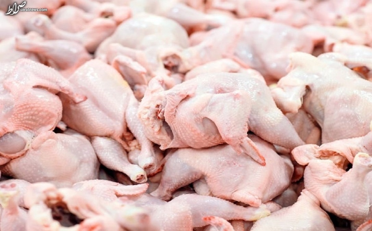 با گران‌فروشان مرغ برخورد قانونی شدید می‌شود
