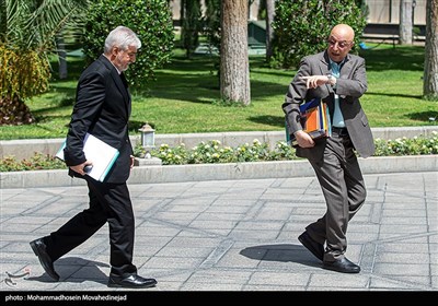 در حاشیه جلسه هیئت دولت