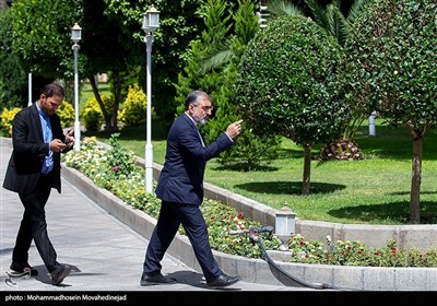 در حاشیه جلسه هیئت دولت