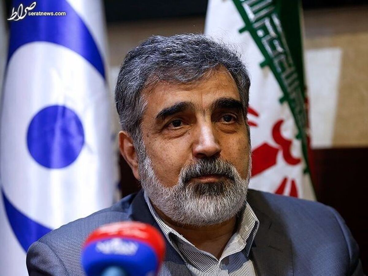 سازمان انرژی اتمی: ۱۰ دوربین آژانس در اصفهان فعال شد