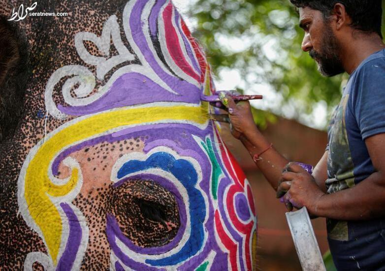 عکس / رنگ آمیزی یک فیل در معبدی در شهر احمدآباد هند