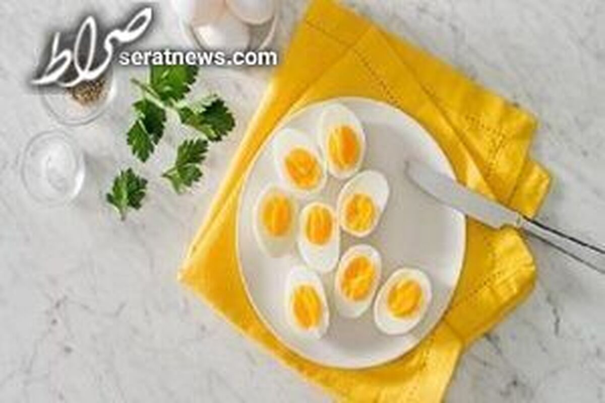 سفیده و زرده تخم مرغ چه فوایدی دارند؟