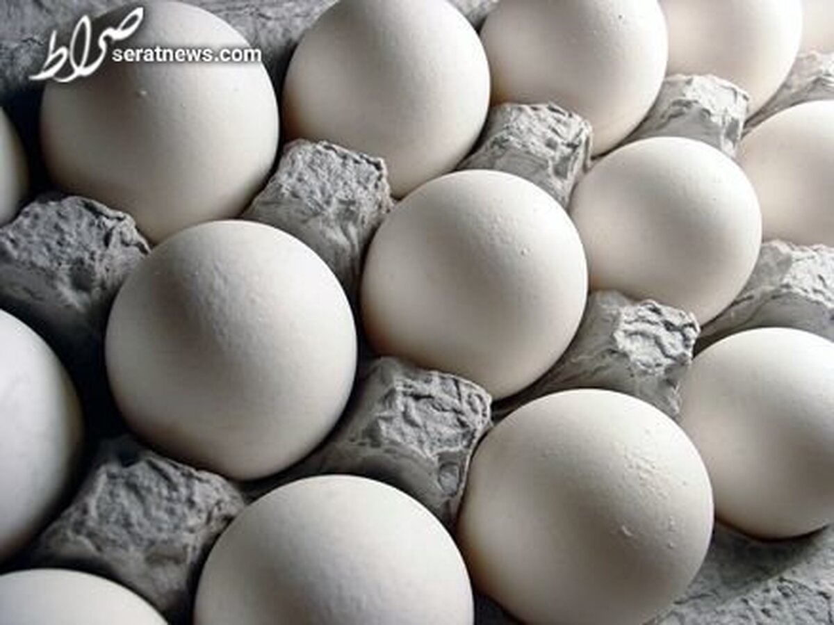 قیمت تخم‌مرغ کاهش یافت؛ مغازه‌ها نرخ مصوب را اجرایی می‌کنند