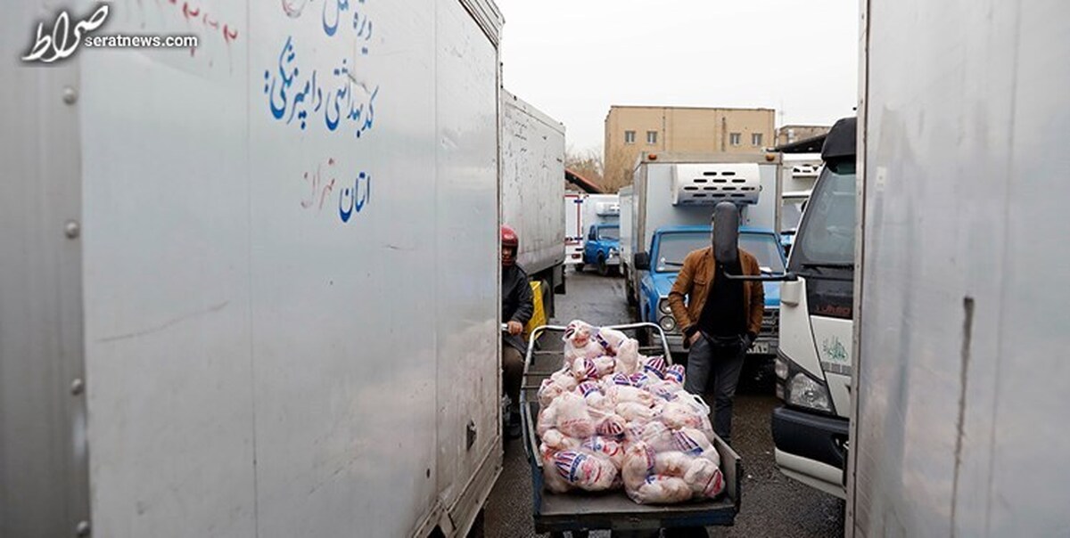 افزایش قیمت مرغ و خرید و فروش در کوچه پسکوچههای اطراف میدان بهمن