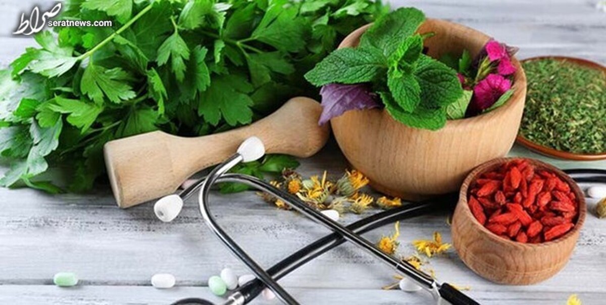 طب ایرانی به طرح پزشک خانواده وارد میشود