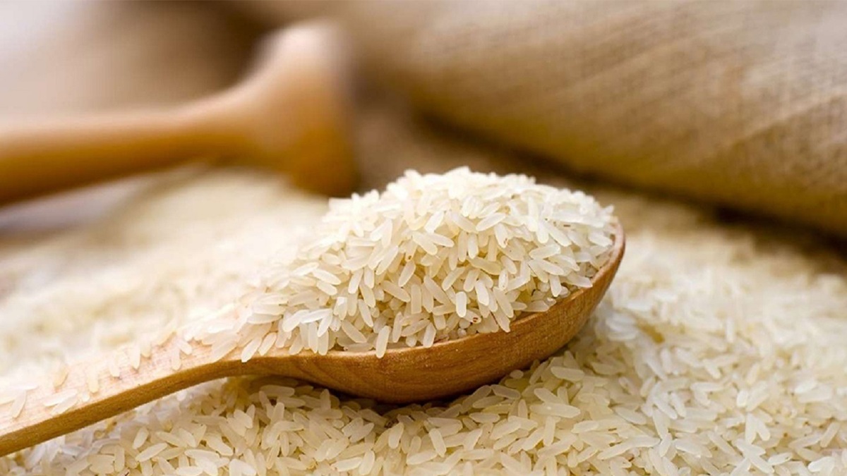 واردات برنج به حدود ۳۰۰ هزارتن رسید
