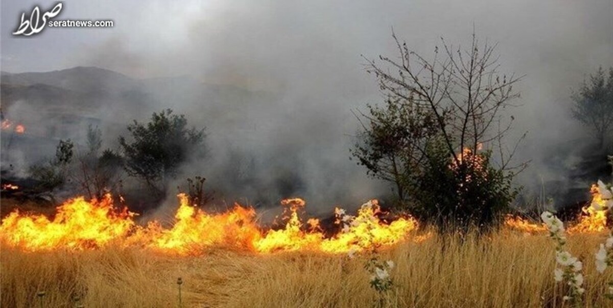 سوزاندن بقایای کشاورزی پس از برداشت ممنوع است