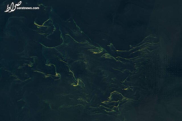عکس / تصویر متفاوت ناسا از دریای شمال