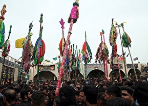 تصاویر / آیین سنتی علم گردانی در میناب
