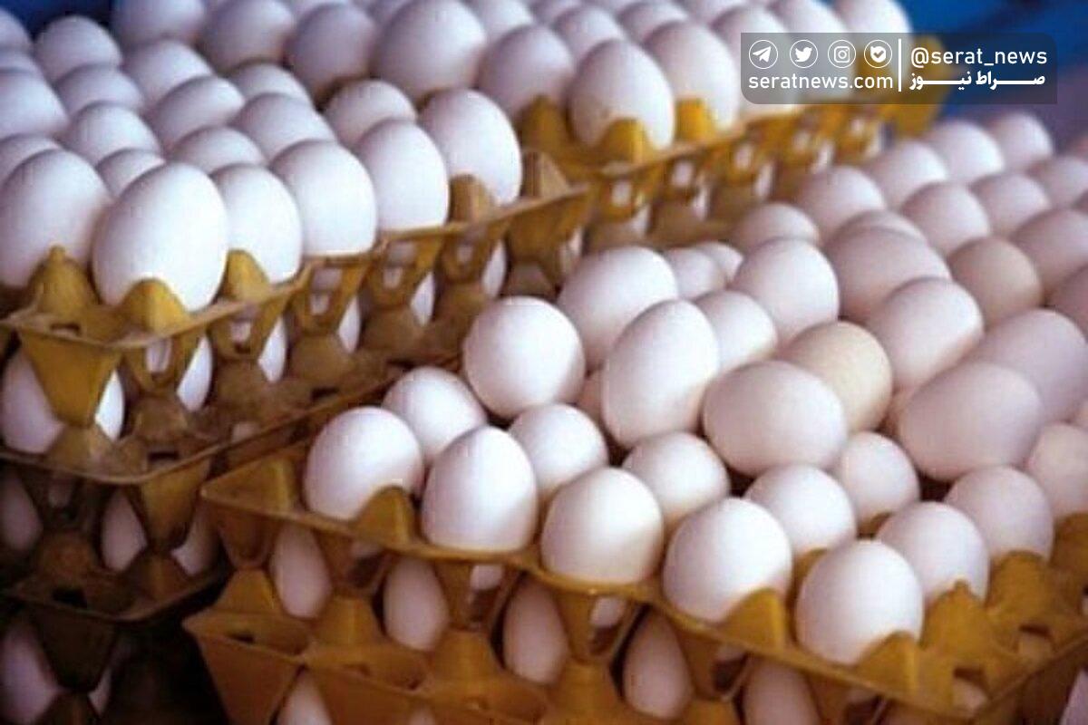 تولید روزانه تخم مرغ به ۳ هزار و ۵۰۰ تن رسید
