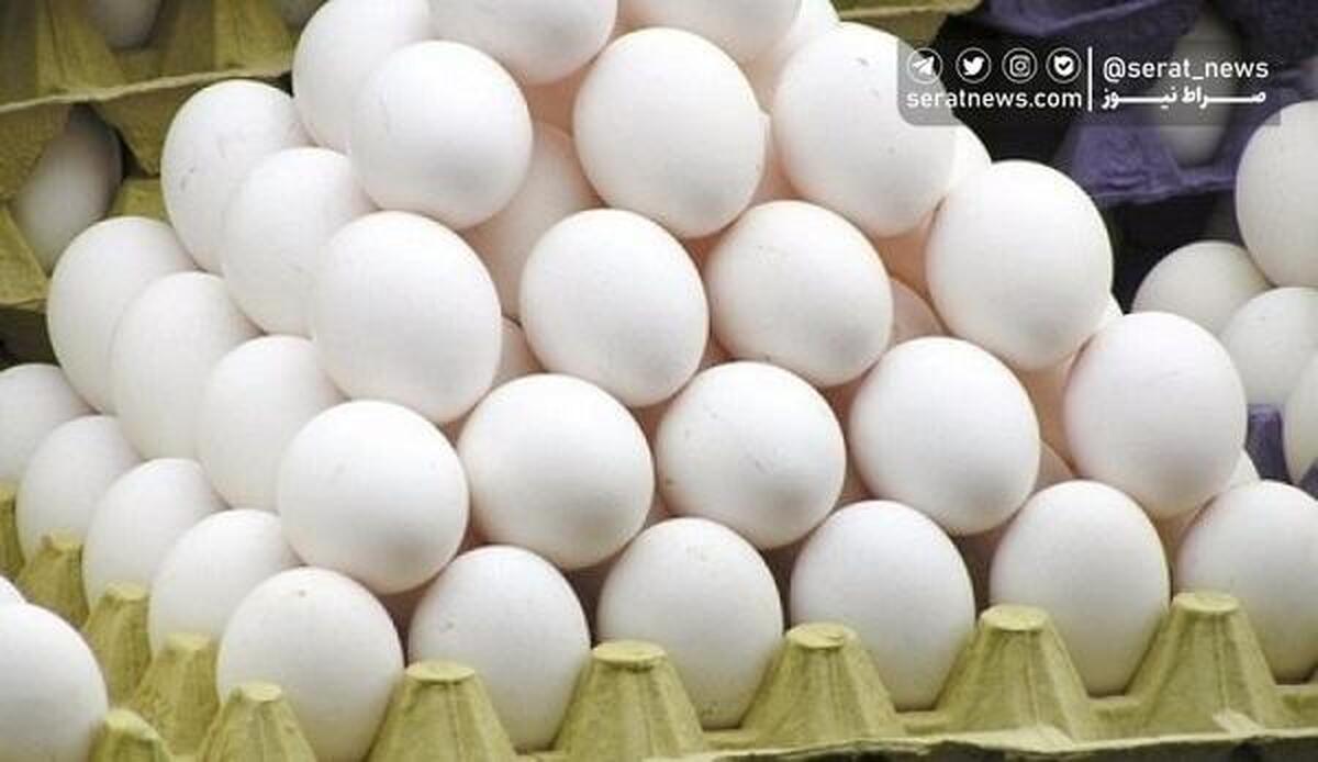تولید مازاد بر نیاز تخم مرغ در کشور