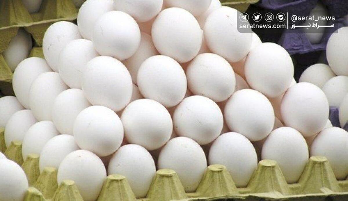 تولید ۱۰۵ هزارتنی تخم مرغ