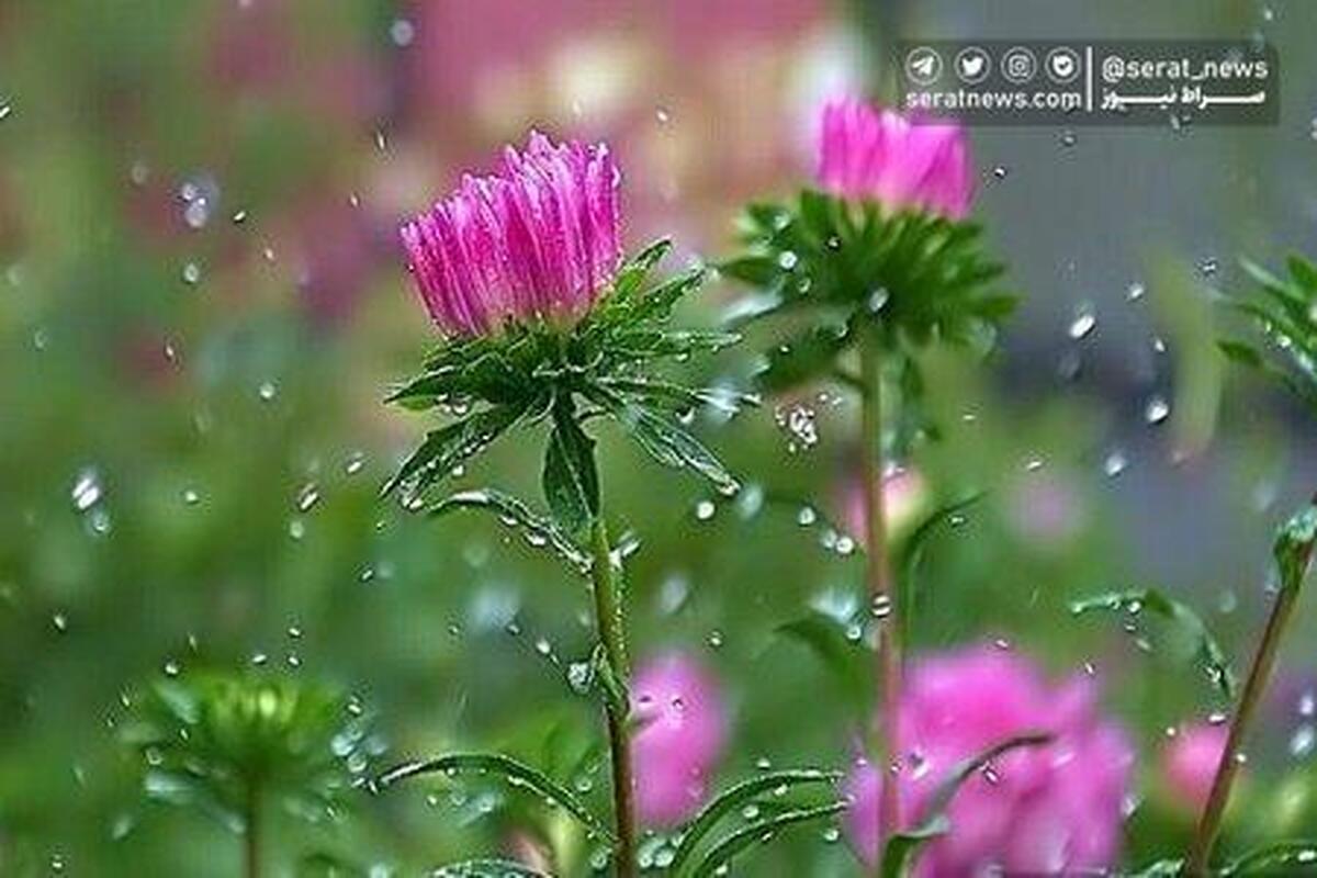 تداوم بارندگی در نوار شمالی کشور