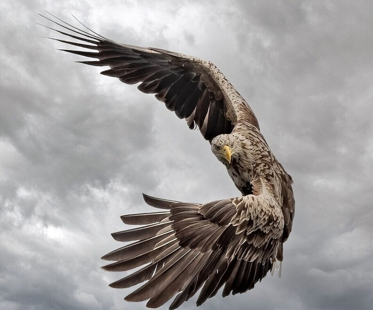 تصاویر / عکاسی طبیعت؛ سرشار از زندگی و پویایی