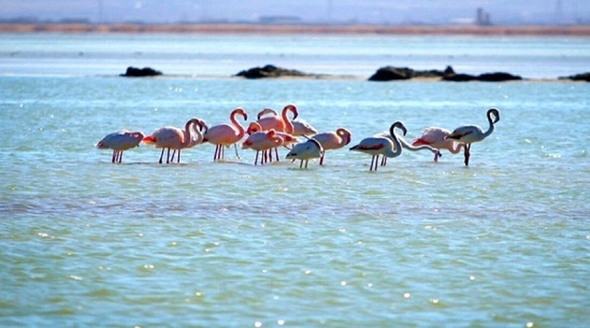 رهاسازی آب به سمت دریاچه ارومیه / این دریاچه جان تازه میگیرد؟