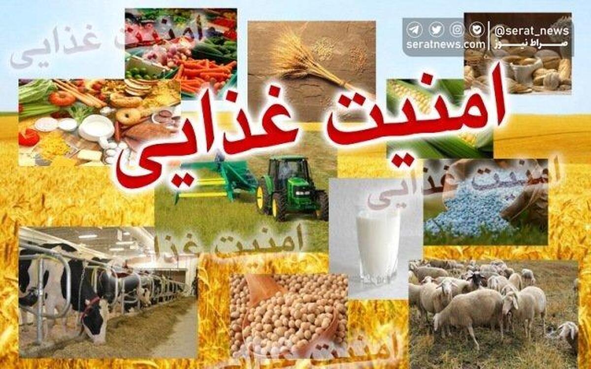 جزئیات «سند ملی دانش‌بنیان امنیت غذایی»/ نحوه تأمین اعتبار اجرای سند از مسیر برنامه هفتم توسعه