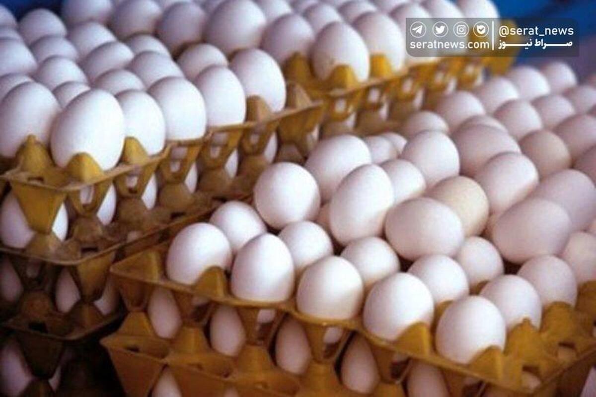 قیمت هرکیلو تخم‌مرغ ۵۶ هزارتومان اعلام شد