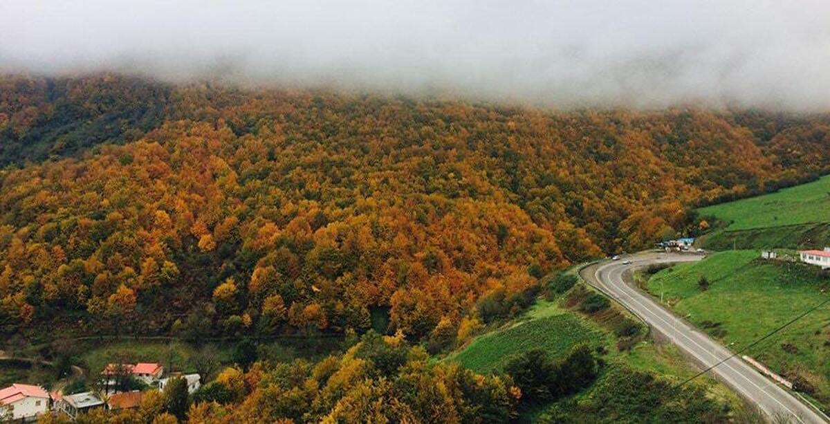 فیلم/ مشاهده خرس در کنار جاده و مجاورت دریاچه الندان مازندران