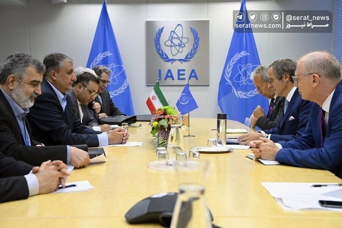رئیس سازمان انرژی اتمی و مدیرکل آژانس در وین دیدار کردند