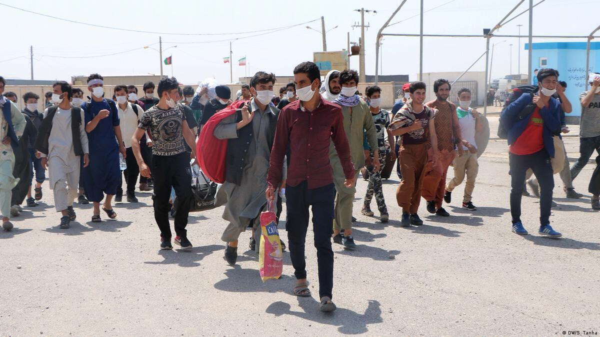 ماجرای نماینده افغانستانی‌ها در مجلس شورای اسلامی چه بود؟