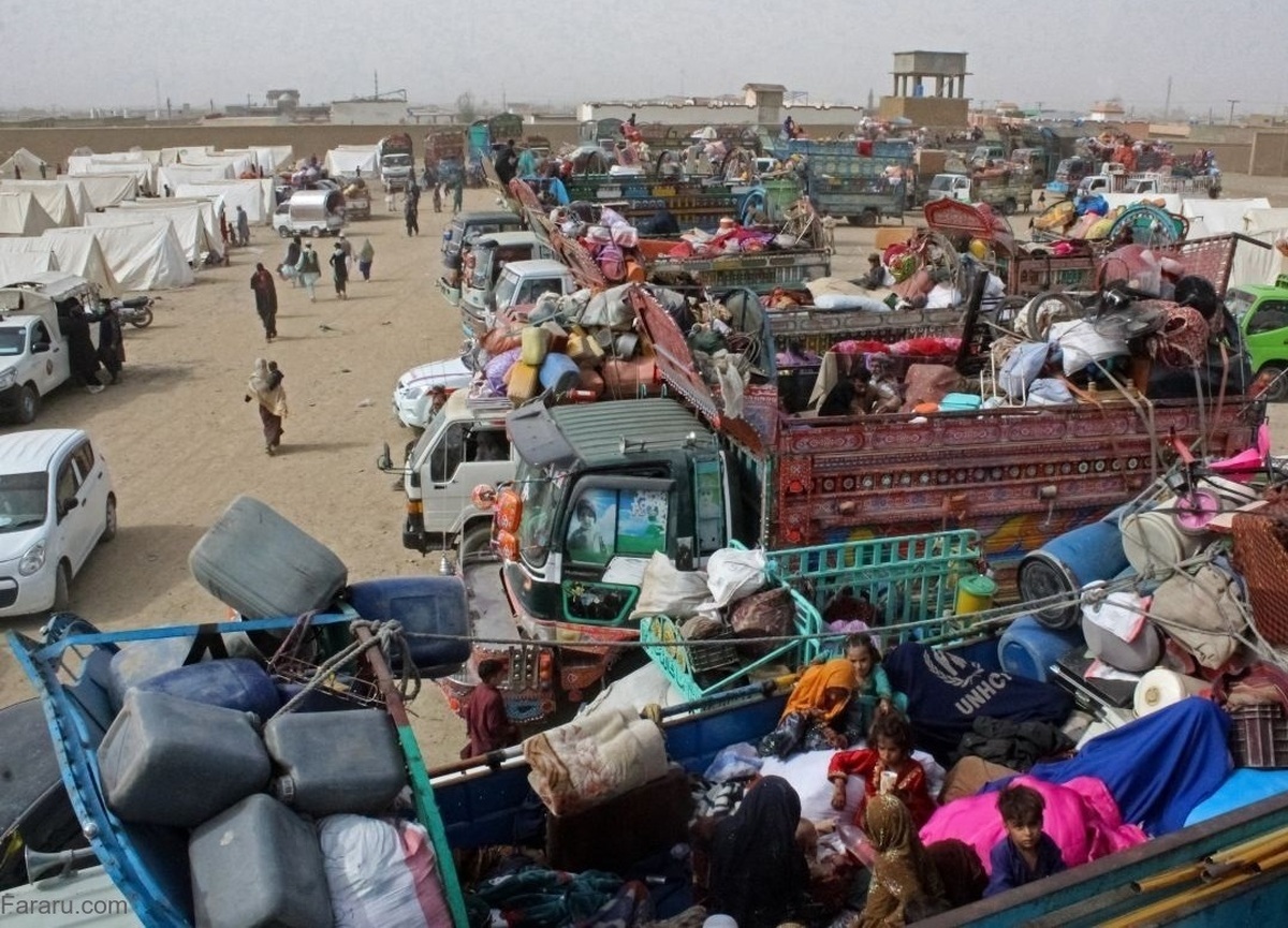 مادر بلاگر که صاحب 10 فرزند بود مهاجرت کرد!