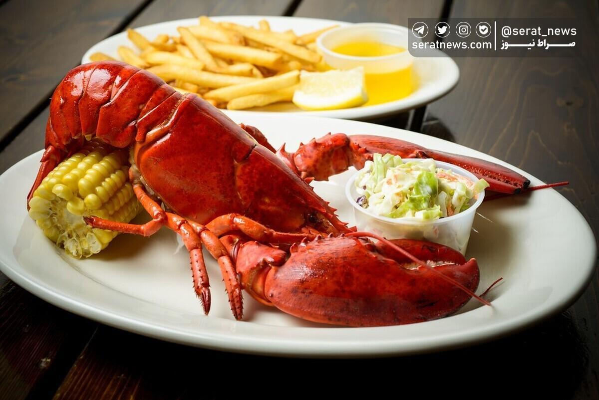 تصاویر / تامین امنیت کشور در حوزه غذا