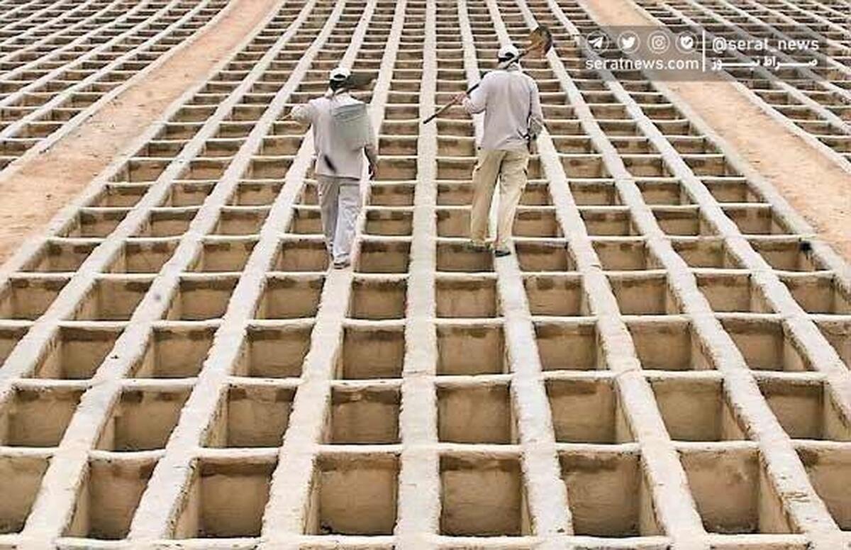 نرخ فوتی در کشور طی نیمه نخست سال کاهش داشت