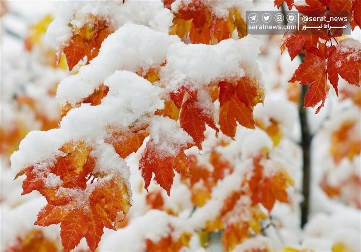 بارش برف و کولاک در ۲۰ استان