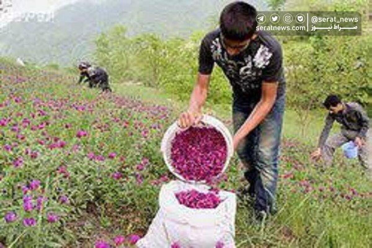 به ۱۲۰۰ خانوار عشایر استان تهران آبرسانی شد