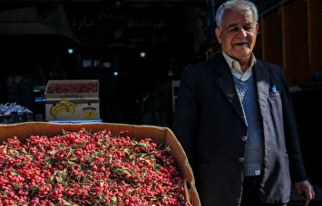 تصاویر / میدان میوه و تره بار