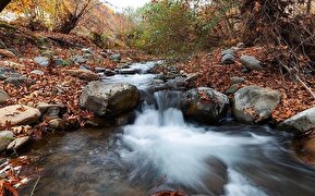 تصاویر / پاییز هزار رنگ در روستای «شیت» زنجان