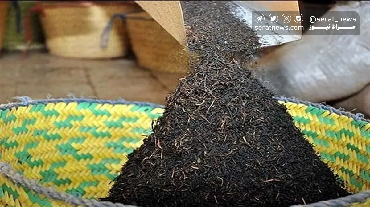 جزئیات تازه از پرونده فساد دبش؛ ماجرای «چای سنواتی سرطان‌زا» به ایران چست؟