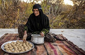 تصاویر / نان بلوط