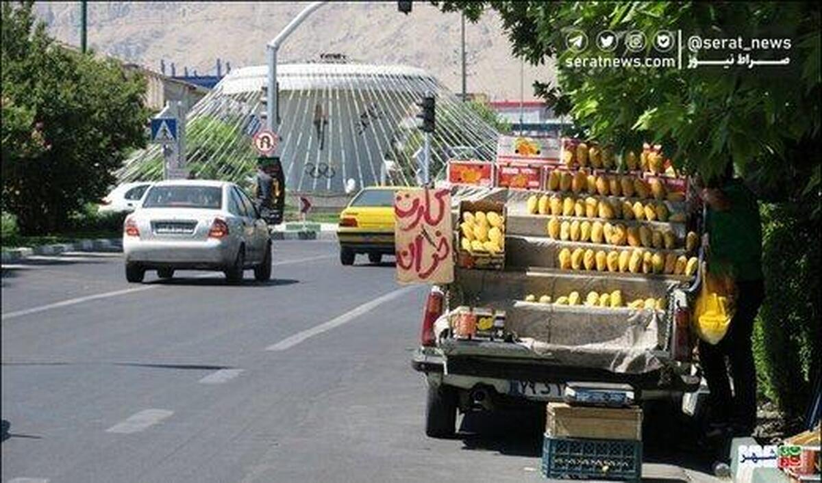 افشای درآمد نجومی سلطان وانتی‌های تهران
