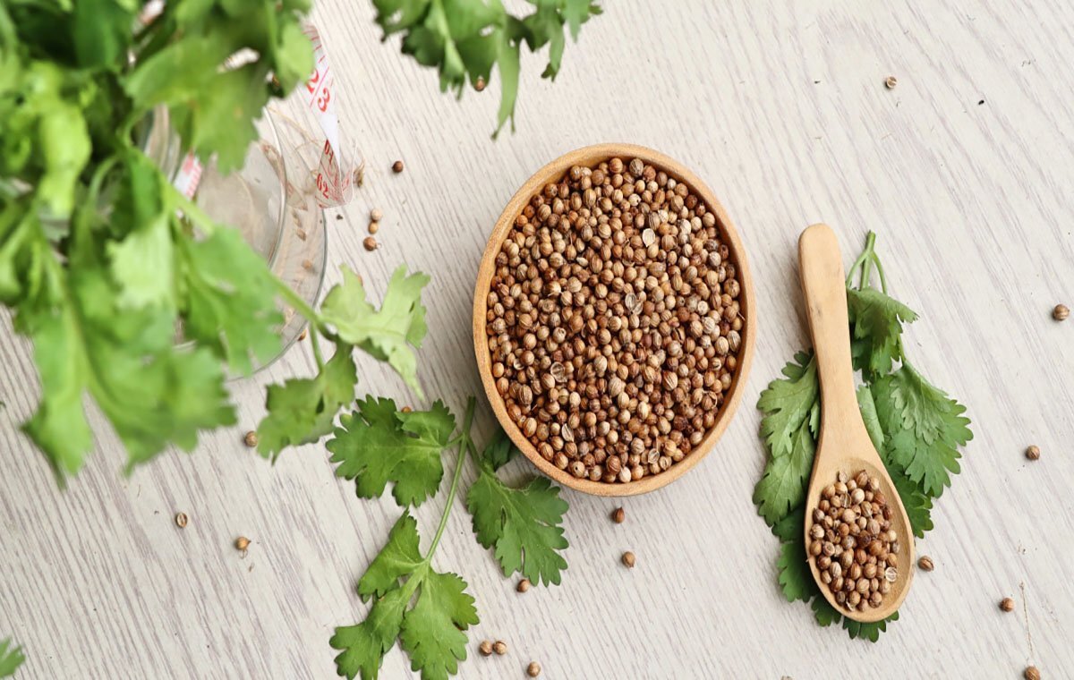 خواص تخم گشنیز؛ از سلامت پوست تا کاهش وزن