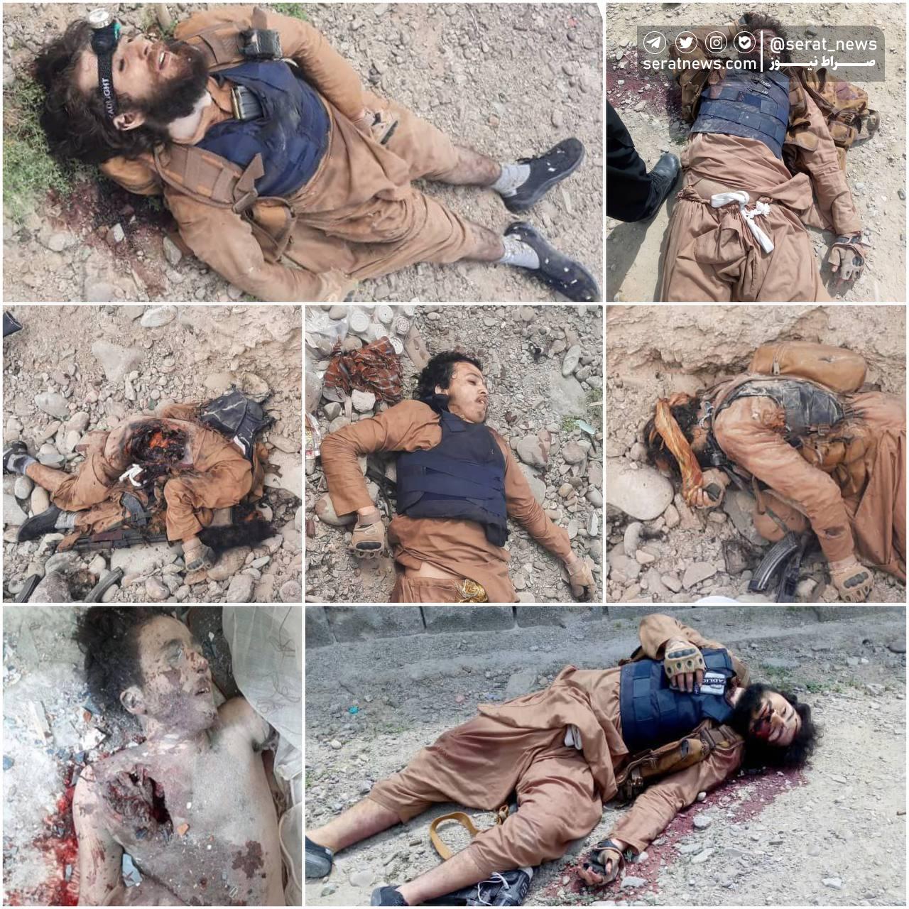 عکس/ تصاویر هفت تن دیگر از اعضای کشته شده جیش العدل در درگیری چابهار و راسک