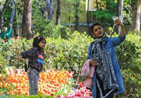 تصاویر / فصل لاله‌ها در باغ ایرانی