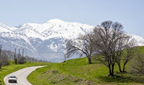 تصاویر / زیبایی‌های مخمل کوه در گستره زاگرس