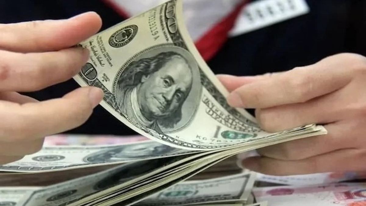 بانک مرکزی پشت تخلف ارزی پتروشیمیها درآمد